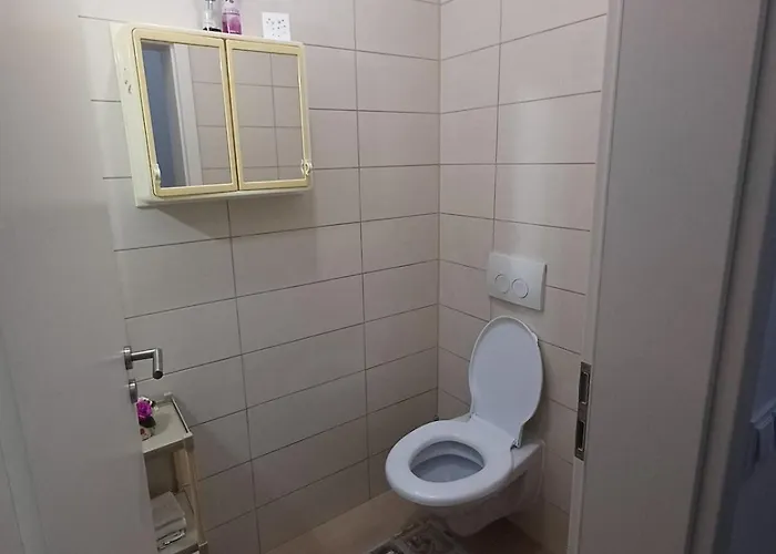 Favorite Apartmet Apartment Brasov